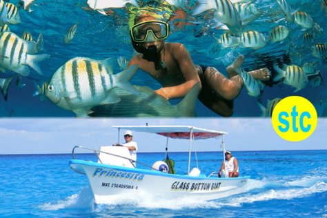 Cozumel: Snorkeling in Glass Bottom Boat 2 hours