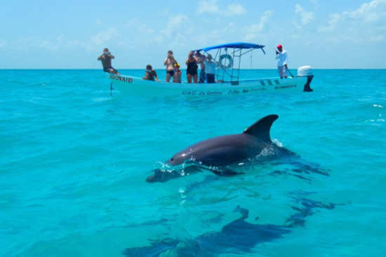 Sian Ka an desde Cancún - Runners Truck